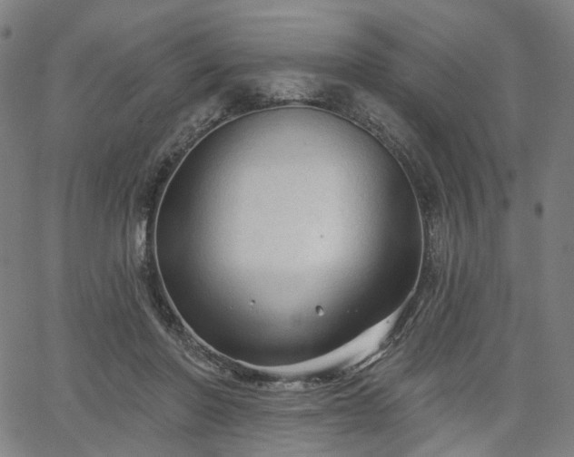 X0000065970406200603101402