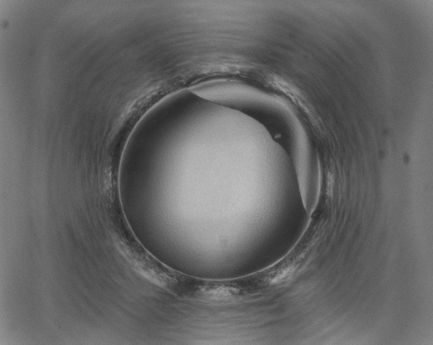 X0000065970407200603101402