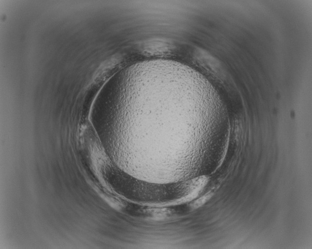 X0000065970408200603101402