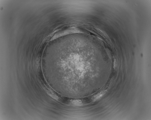 X0000065970409200603101402