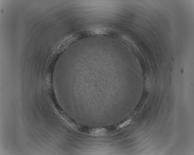 X0000065970410200603101402