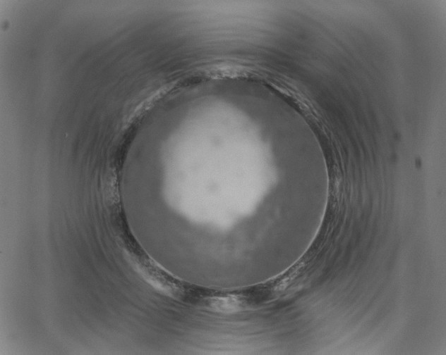 X0000065970411200603101402