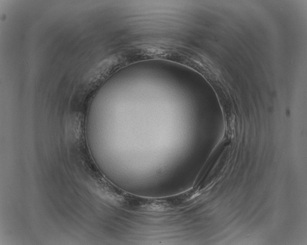 X0000065970412200603101402