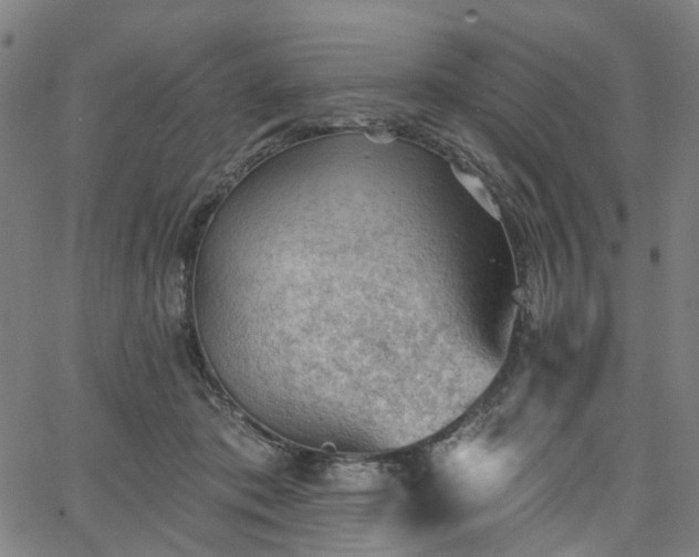 X0000065970413200603101402