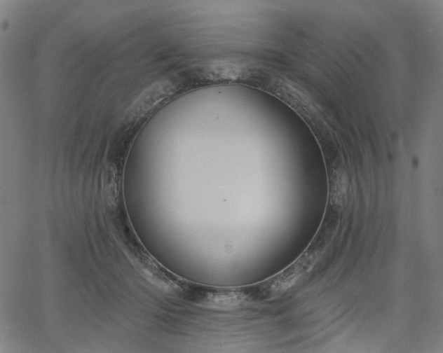 X0000065970414200603101402