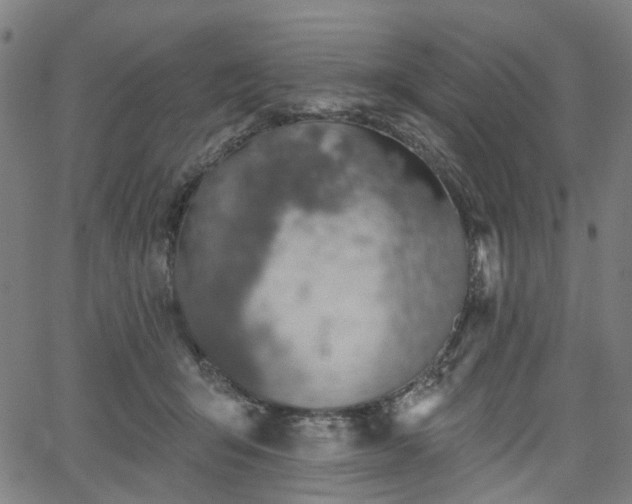 X0000065970415200603101402