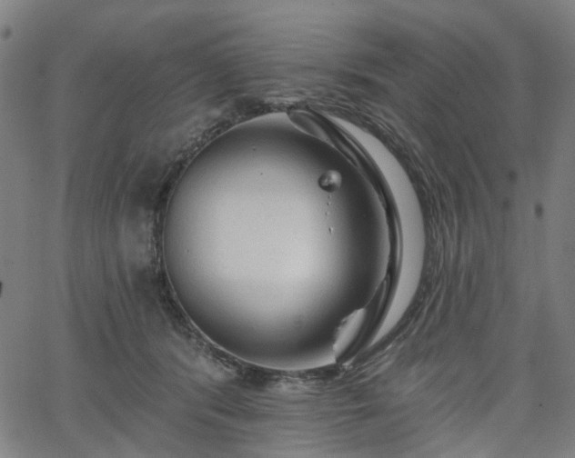 X0000065970416200603101402