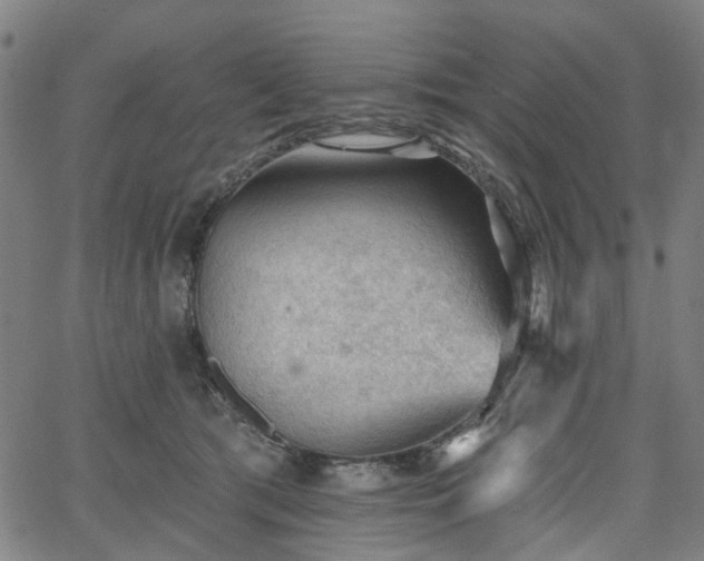 X0000065970417200603101402