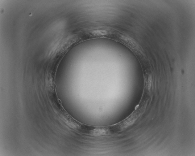 X0000065970418200603101402