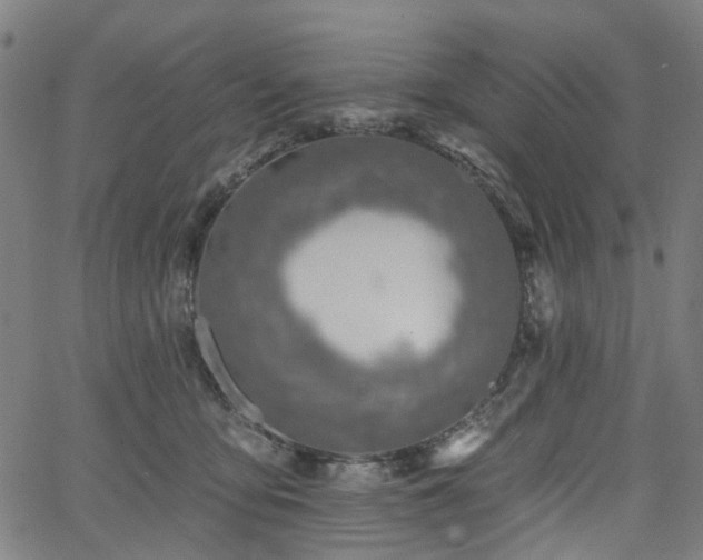 X0000065970419200603101402