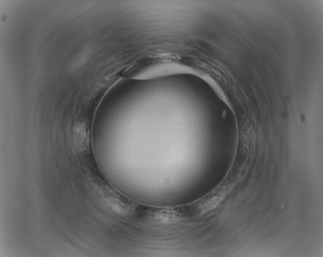 X0000065970420200603101402