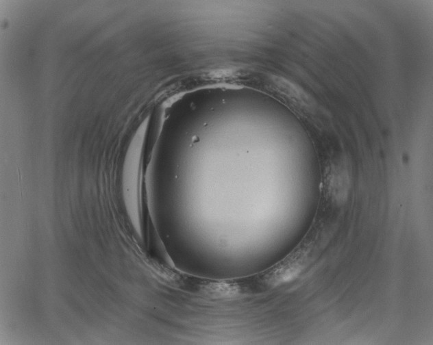 X0000065970421200603101402