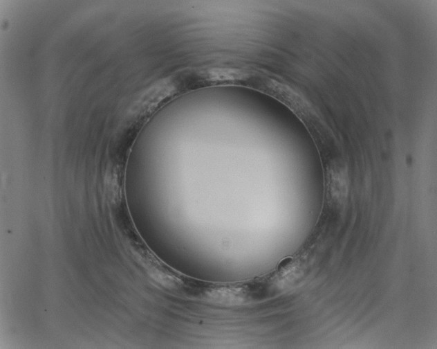 X0000065970422200603101402