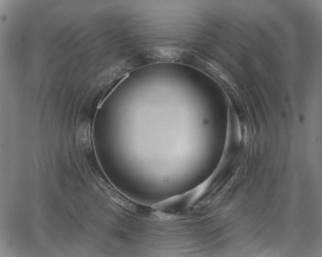 X0000065970425200603101402