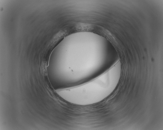 X0000065970429200603101402