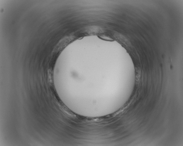 X0000065970430200603101402