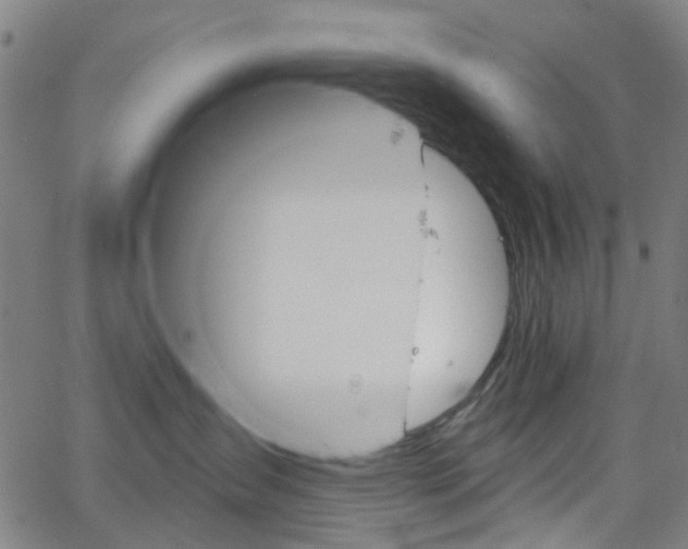 X0000065970431200603101402