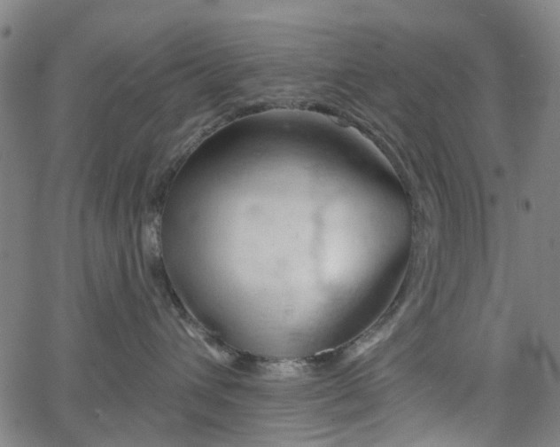 X0000065970432200603101402