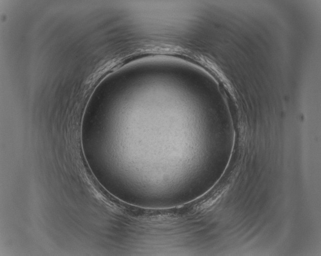 X0000065970433200603101401