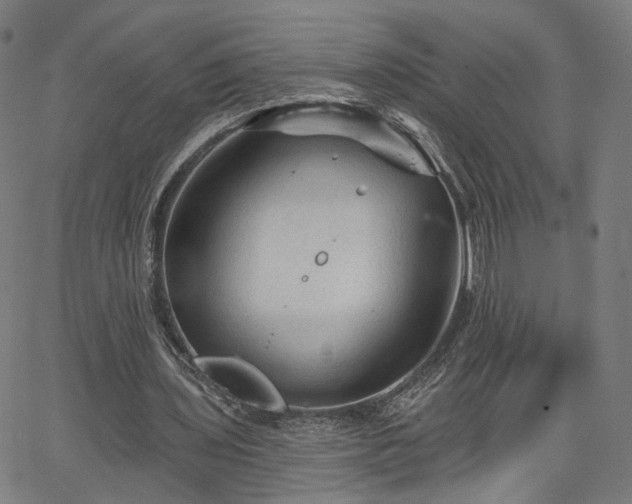 X0000065970435200603101401