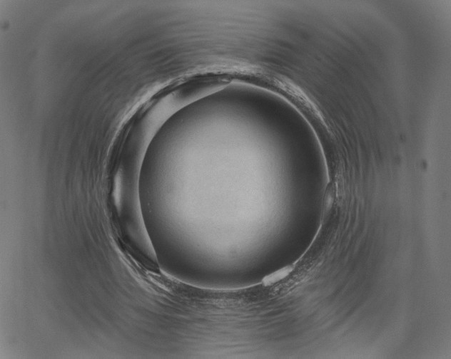 X0000065970436200603101401