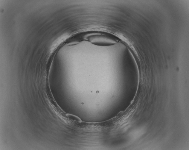 X0000065970437200603101401