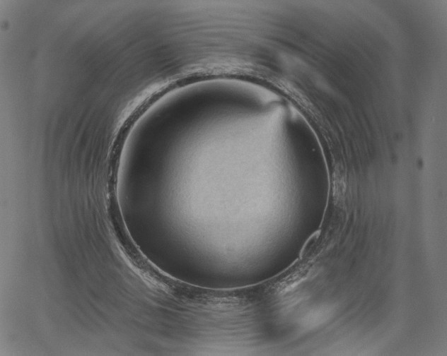 X0000065970438200603101401