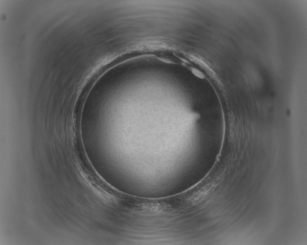 X0000065970439200603101401