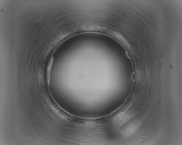 X0000065970441200603101401