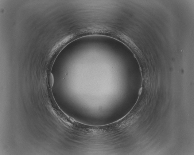 X0000065970442200603101401