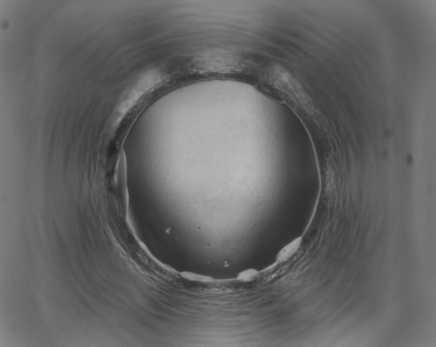 X0000065970444200603101401