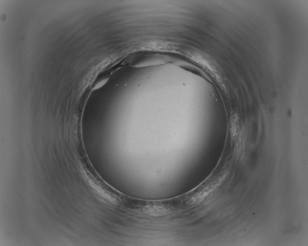 X0000065970445200603101401