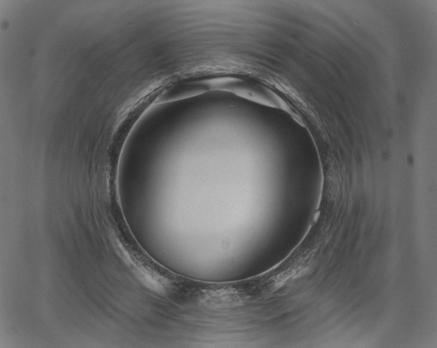 X0000065970446200603101401