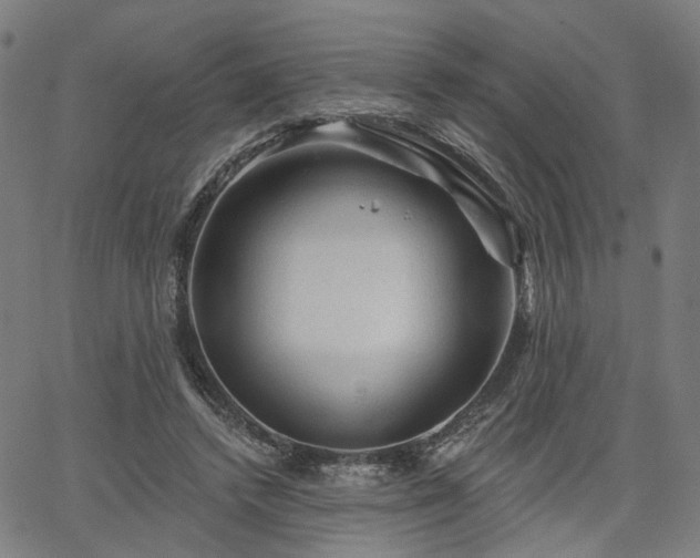 X0000065970448200603101401