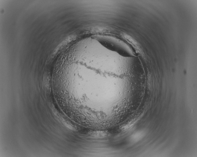 X0000065970449200603101401