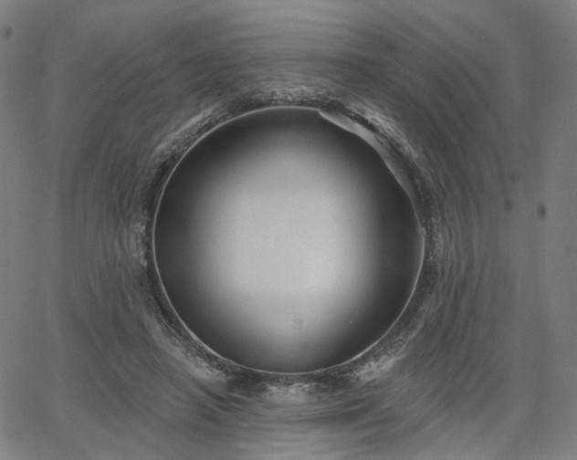 X0000065970450200603101401