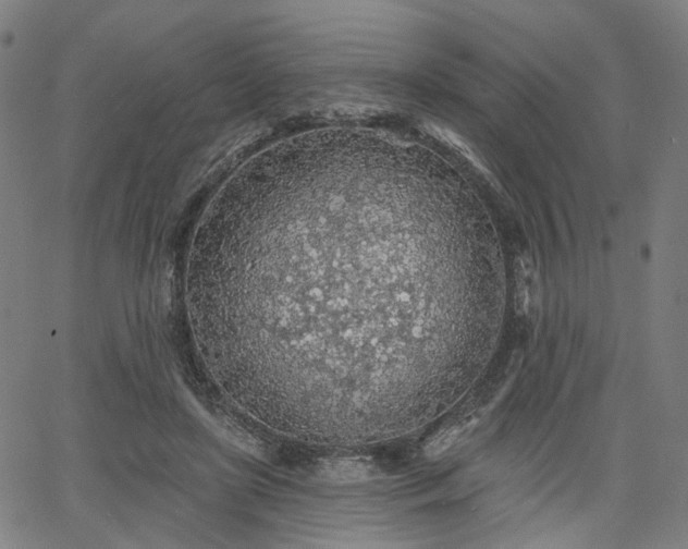 X0000065970451200603101401