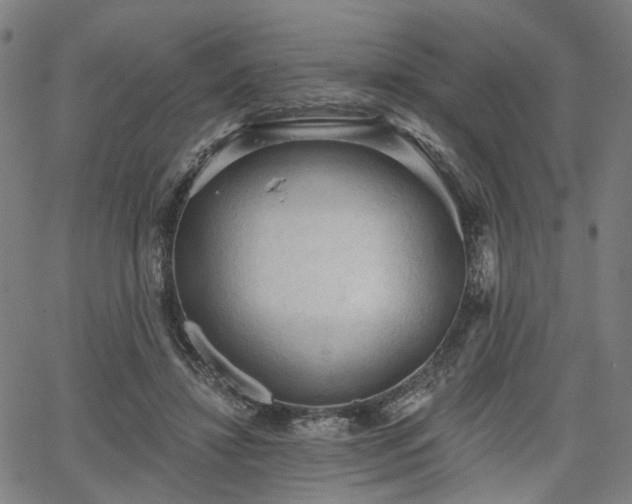 X0000065970452200603101401