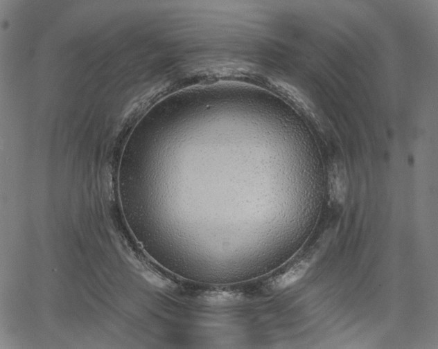 X0000065970453200603101401