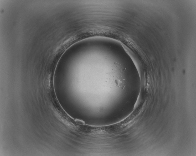 X0000065970454200603101401