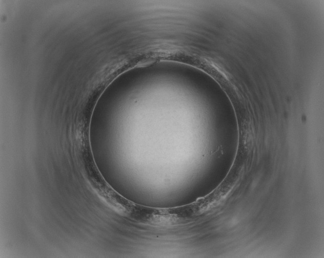 X0000065970455200603101401