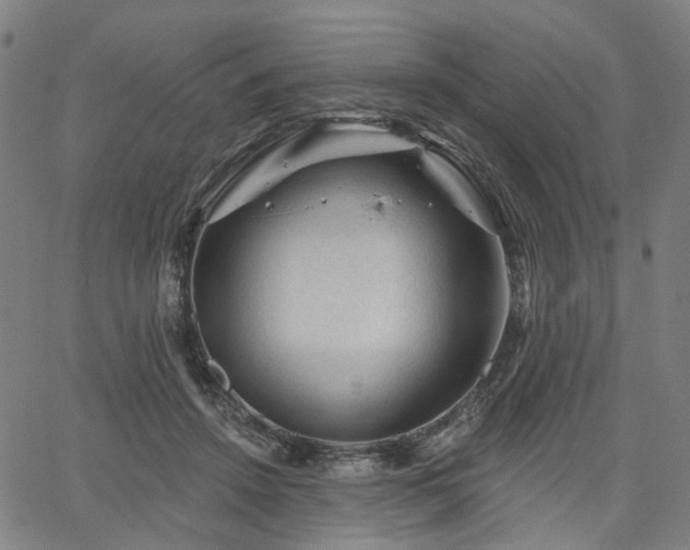 X0000065970456200603101401