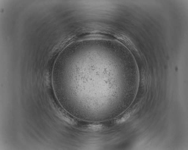 X0000065970457200603101401