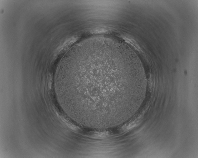 X0000065970458200603101401