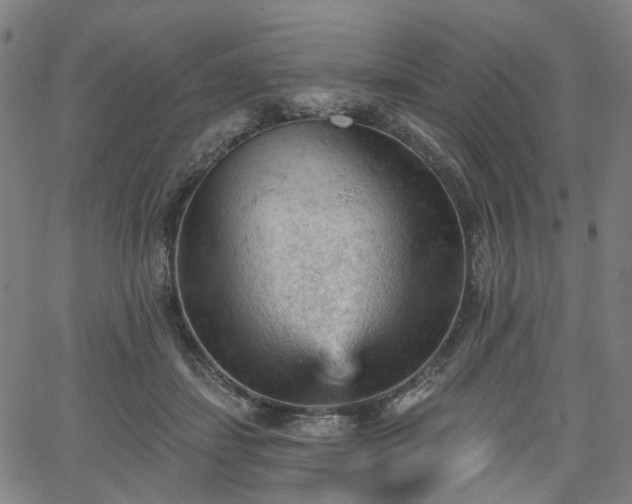 X0000065970459200603101401