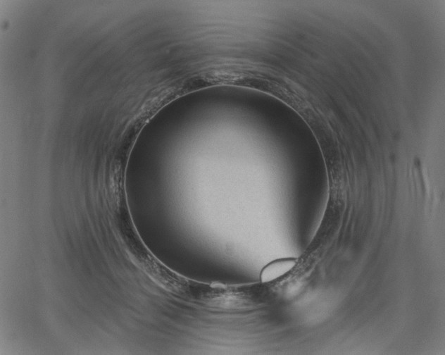 X0000065970460200603101401