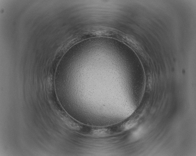 X0000065970461200603101401