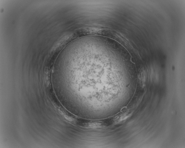 X0000065970462200603101401