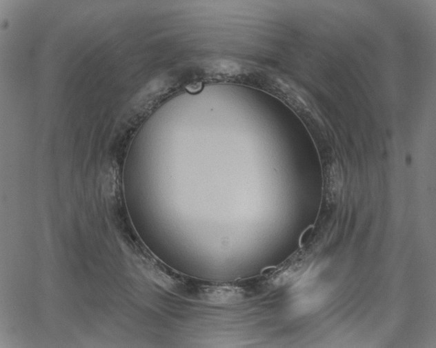 X0000065970463200603101401