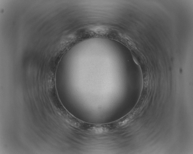 X0000065970464200603101401